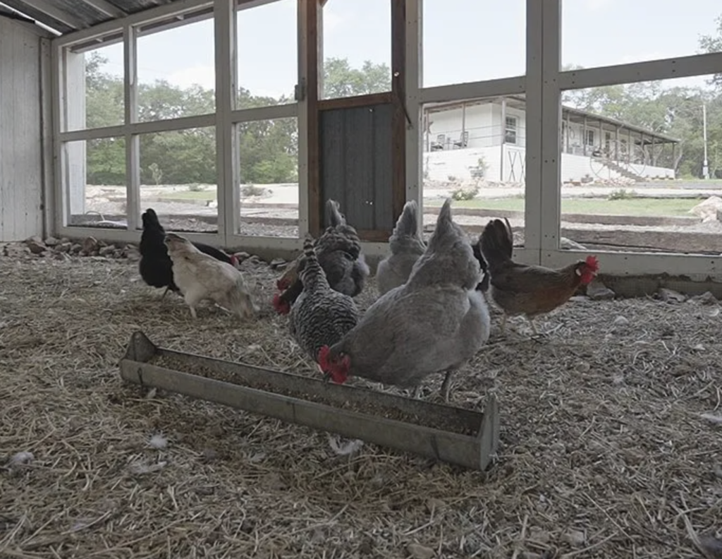 Screenshot at .. PM