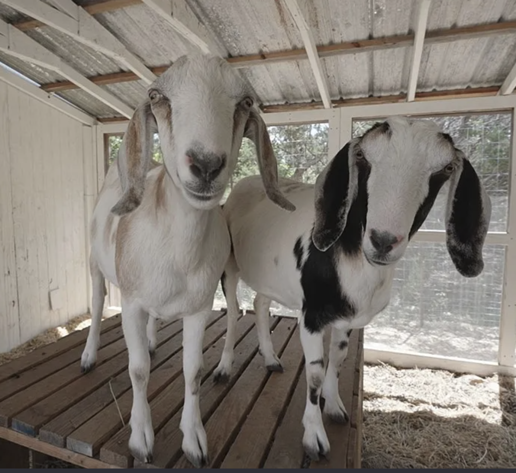 Screenshot at .. PM